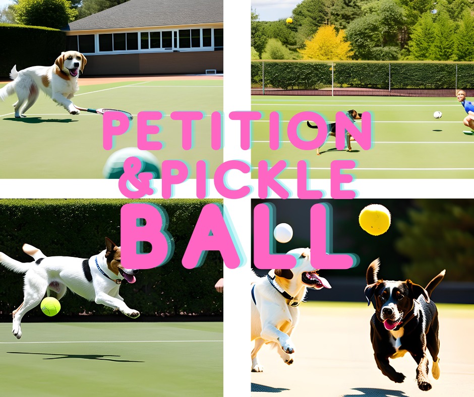 Petition and Pickleball