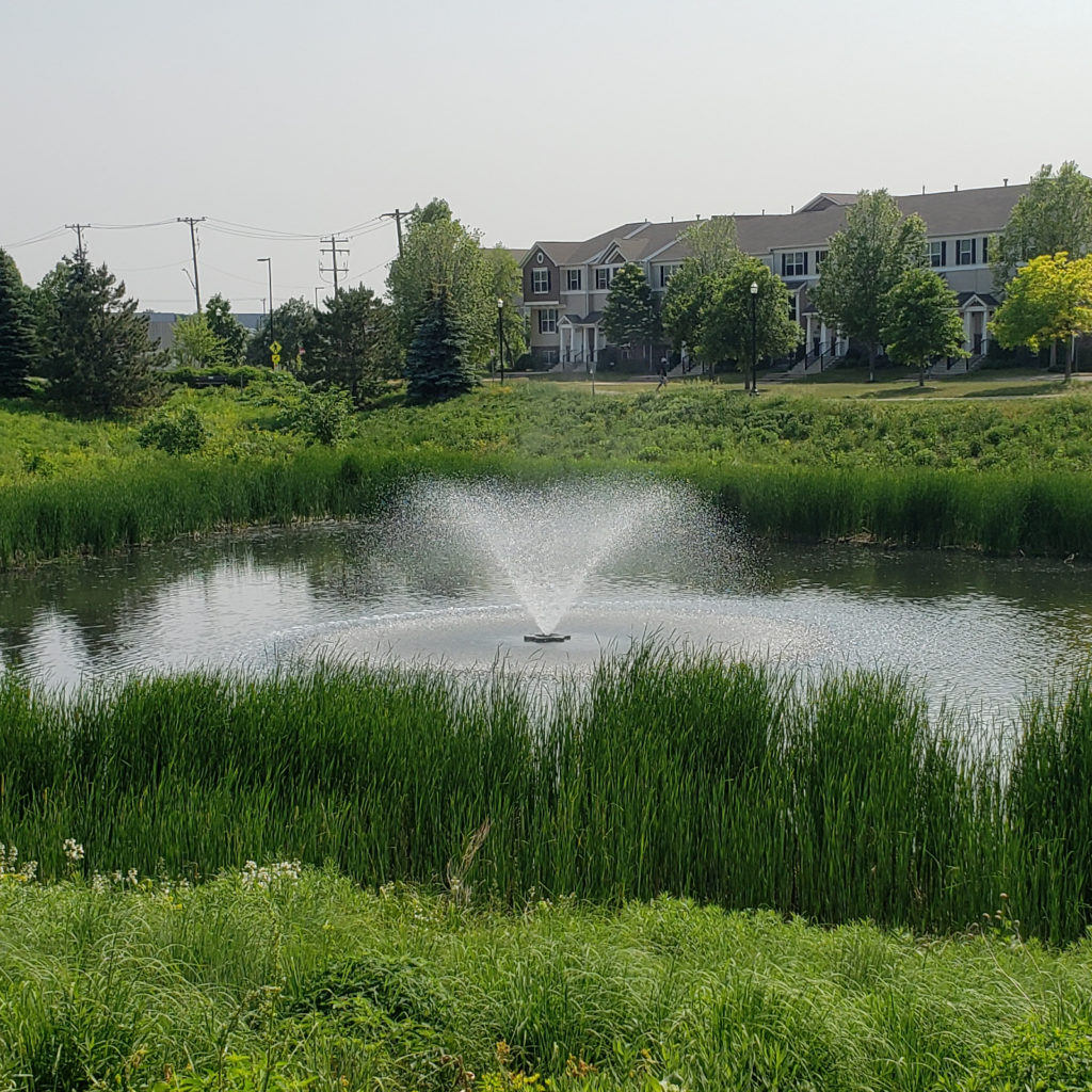 Zurek Pond in Huset Park, Columbia Heights, MN
